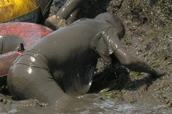mud running group